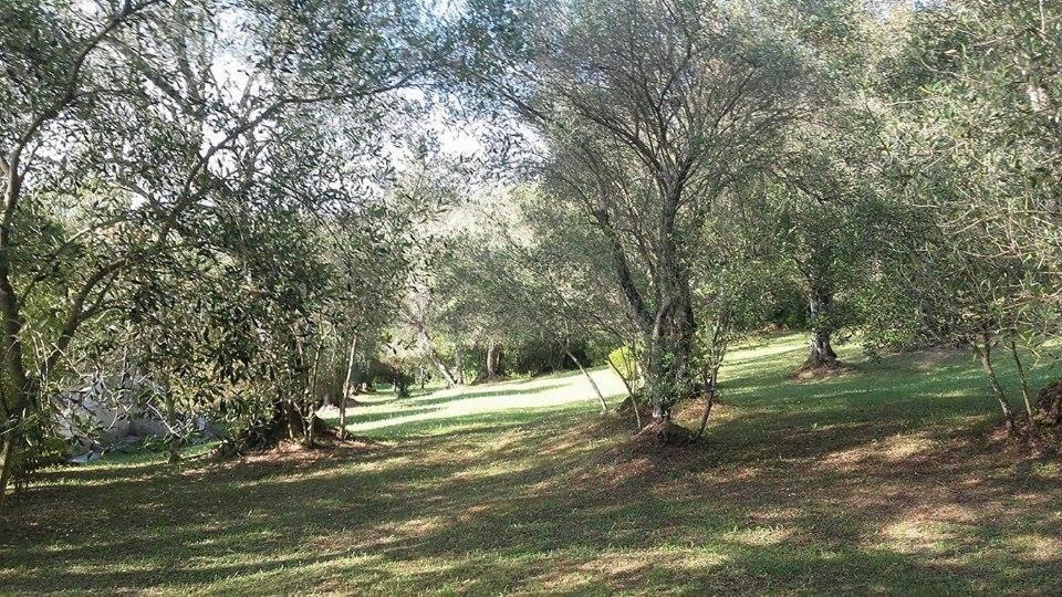 Karamali Green Danilia Villas Gouviá Eksteriør bilde
